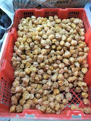 預(yù)包裝食品,蔬菜,水果,肉,魚零售,預(yù)包裝食品,蔬菜,水果,蔬菜,水果,肉 - 太子河區(qū)客來悅蔬菜水果超市