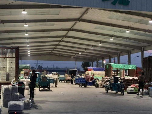 中貿(mào)農(nóng)產(chǎn)品綜合批發(fā)市場 從基地到市場,蔬菜區(qū)一站式采購每日參考價(jià)