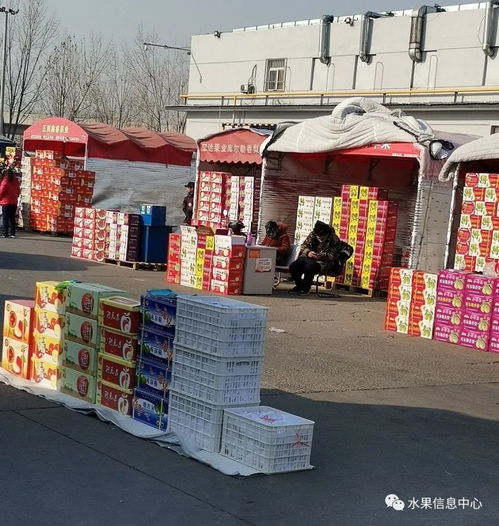 做水果生意,必須要知道的5大水果一級批發(fā)市場