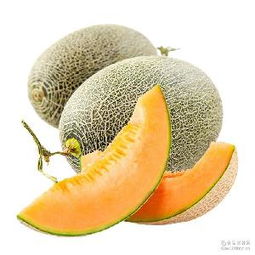 哈密瓜蓉產品綜合指南 價格、型號、圖片及預包裝食品批發與零售服務